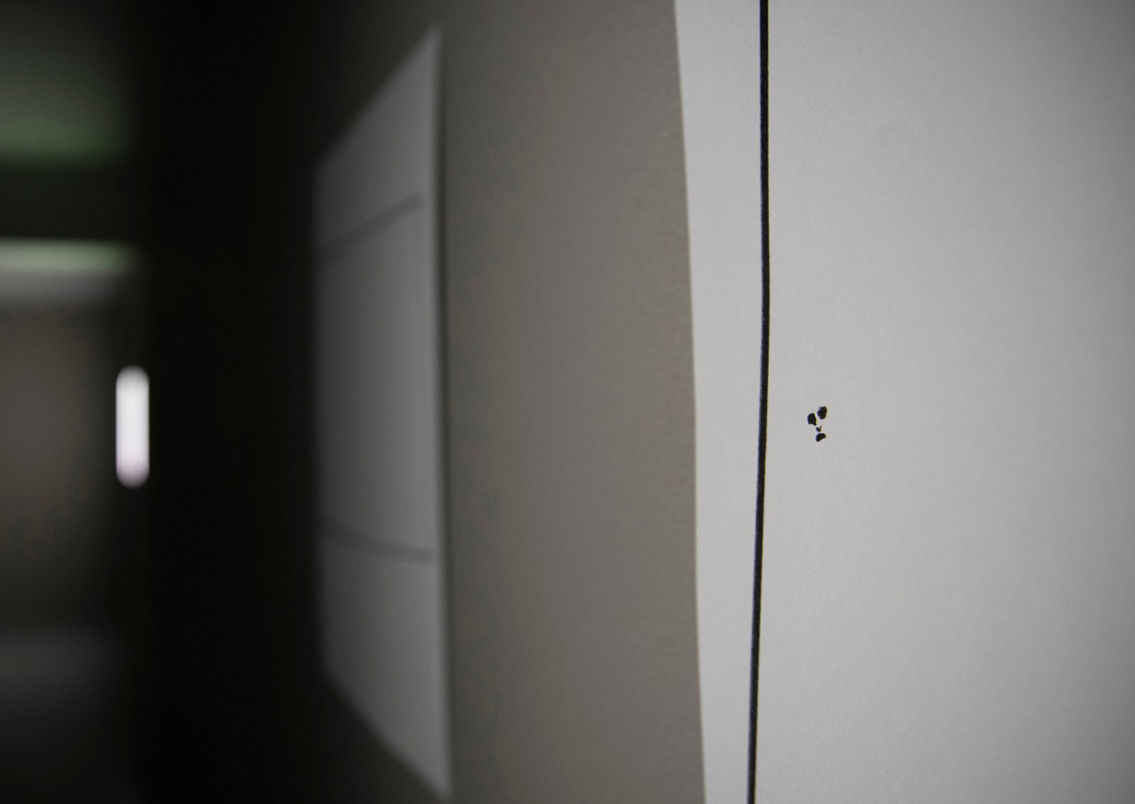 Close-up of risoprint artwork
