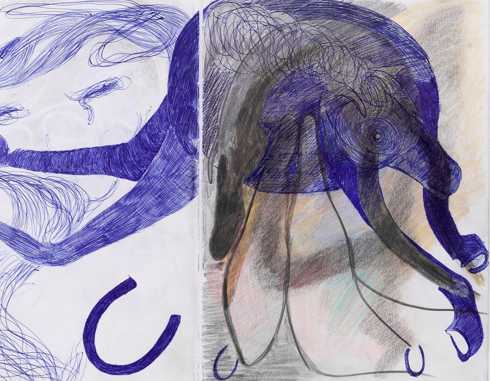 installation of nicole ward