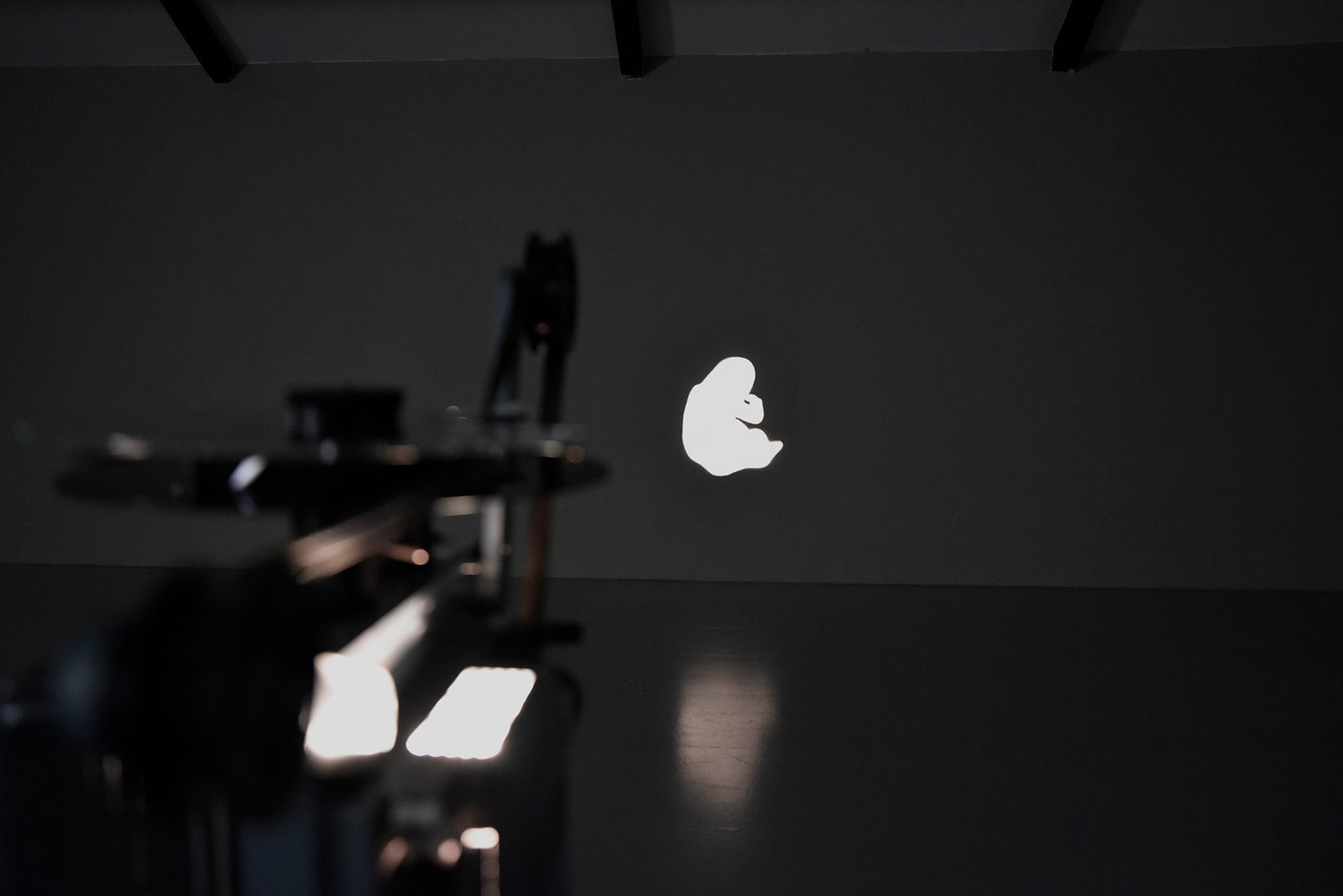 16mm film projection by Anna Clawson